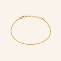 Gold Dust Anklet