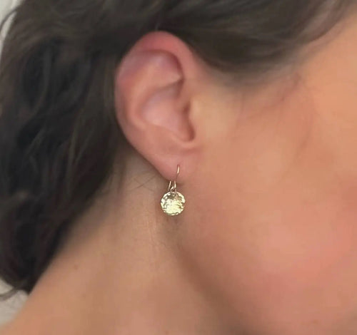 Hammered Drop Gold Filled Circle Earrings in Georgia