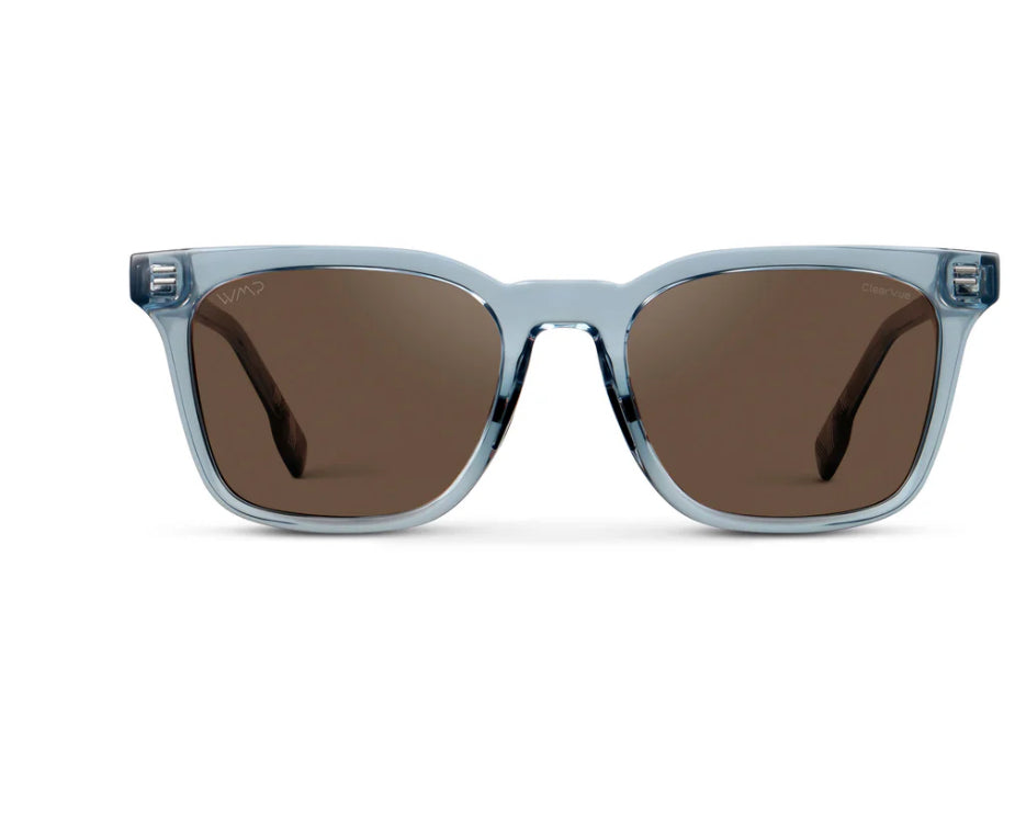 Dakin Polarized Sunglasses