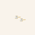 Incanto Studs