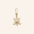 Squan Sea Turtle