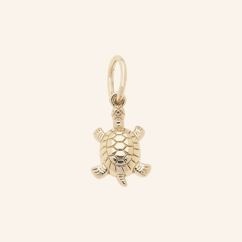 Squan Sea Turtle